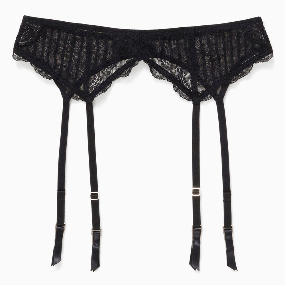 ~ON HOLD~ Blush Lingerie Sheer Desire Garter Belt